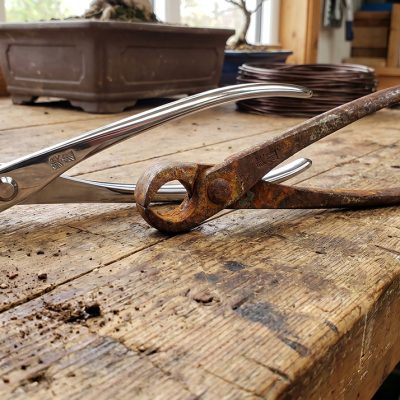 como limpar ferramentas de bonsai